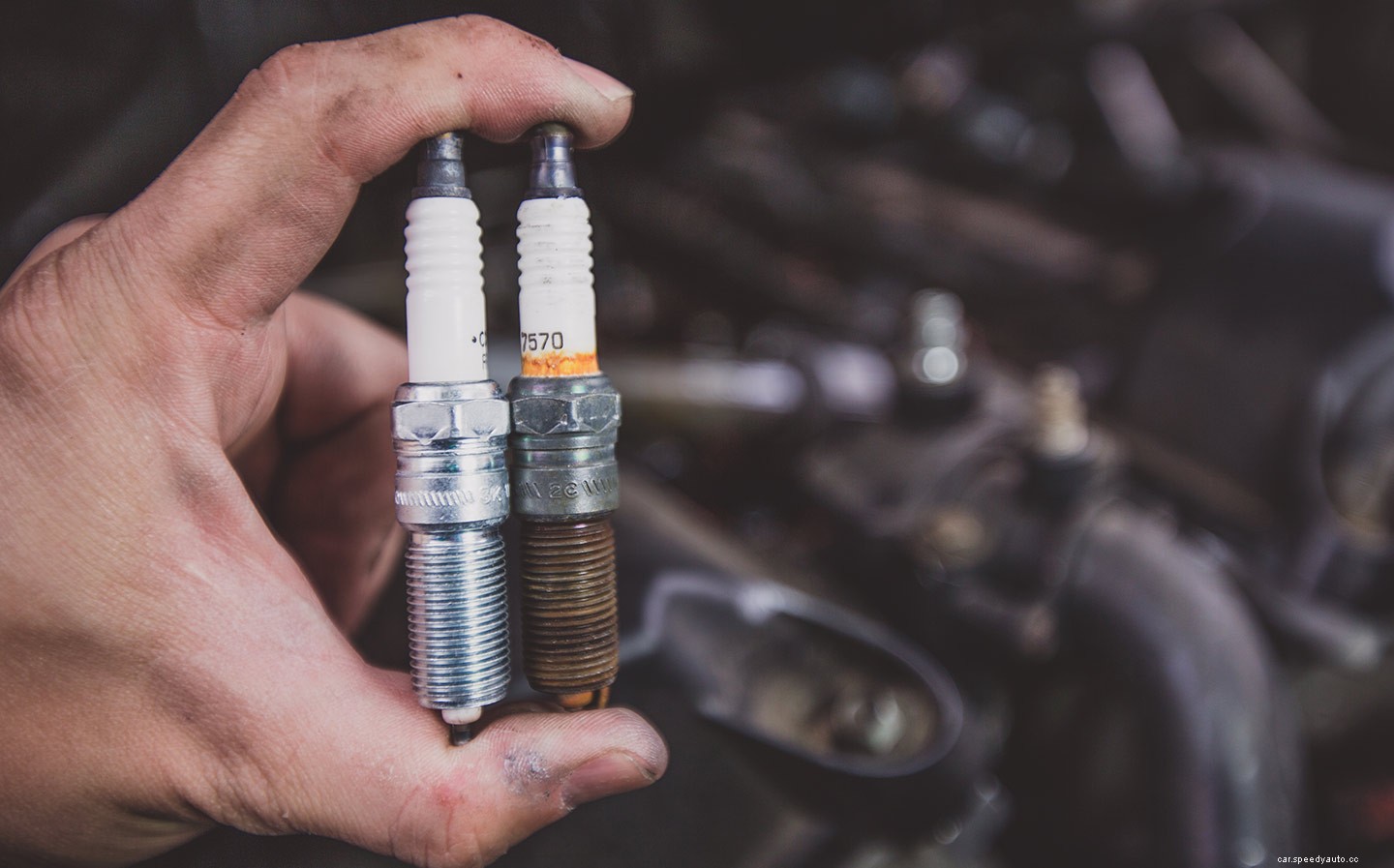 How to Fix Oil on Spark Plug Threads in 5 Easy Steps