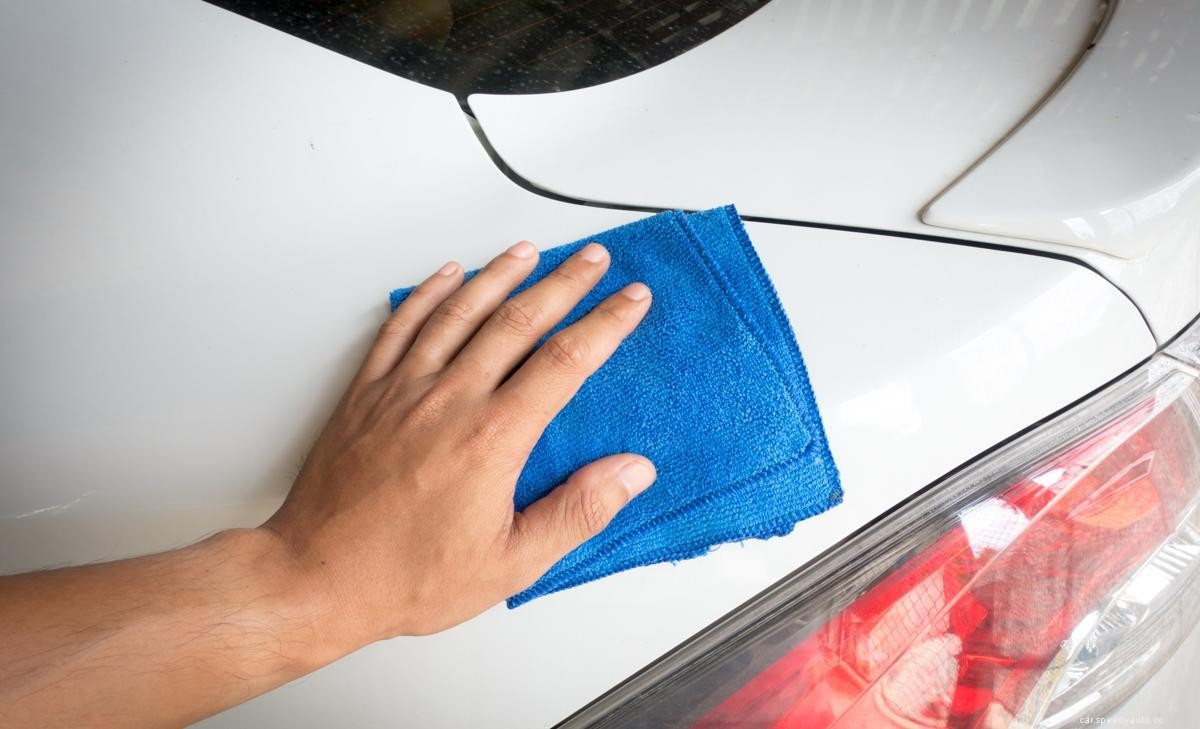 How To Remove Tree Sap From Car In 4 Easy Steps
