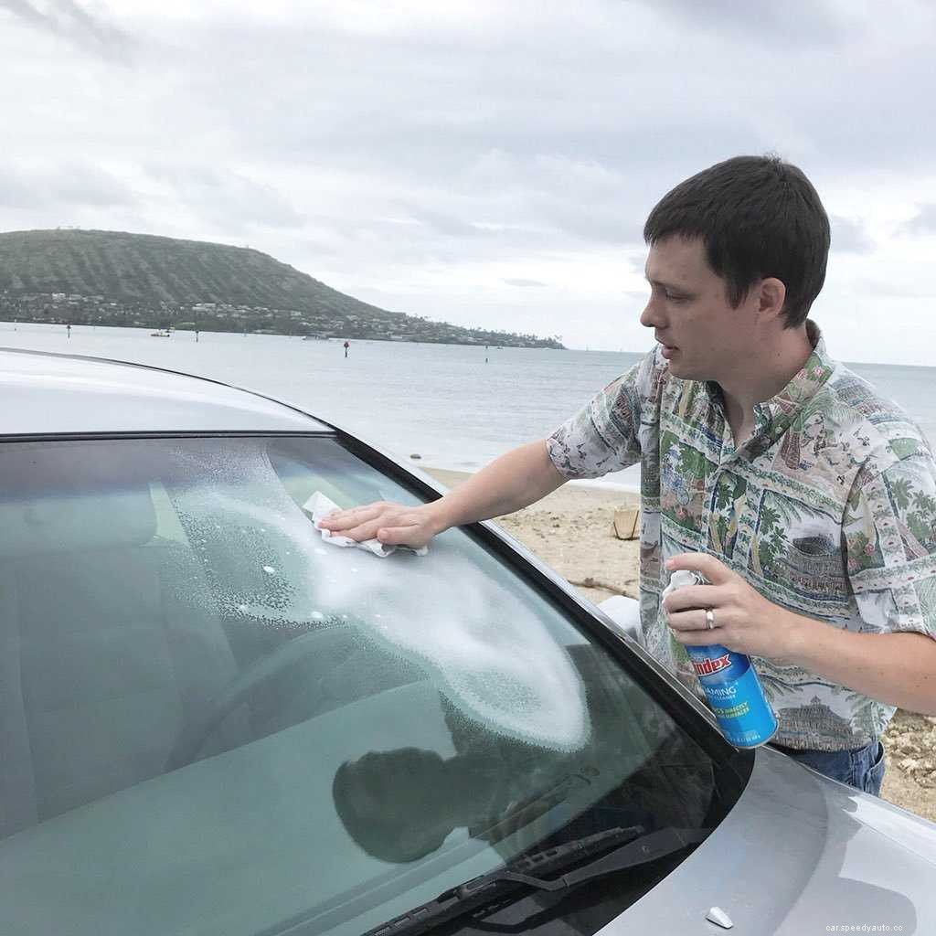 How To Remove Bugs From Car: The Cheapest Solutions