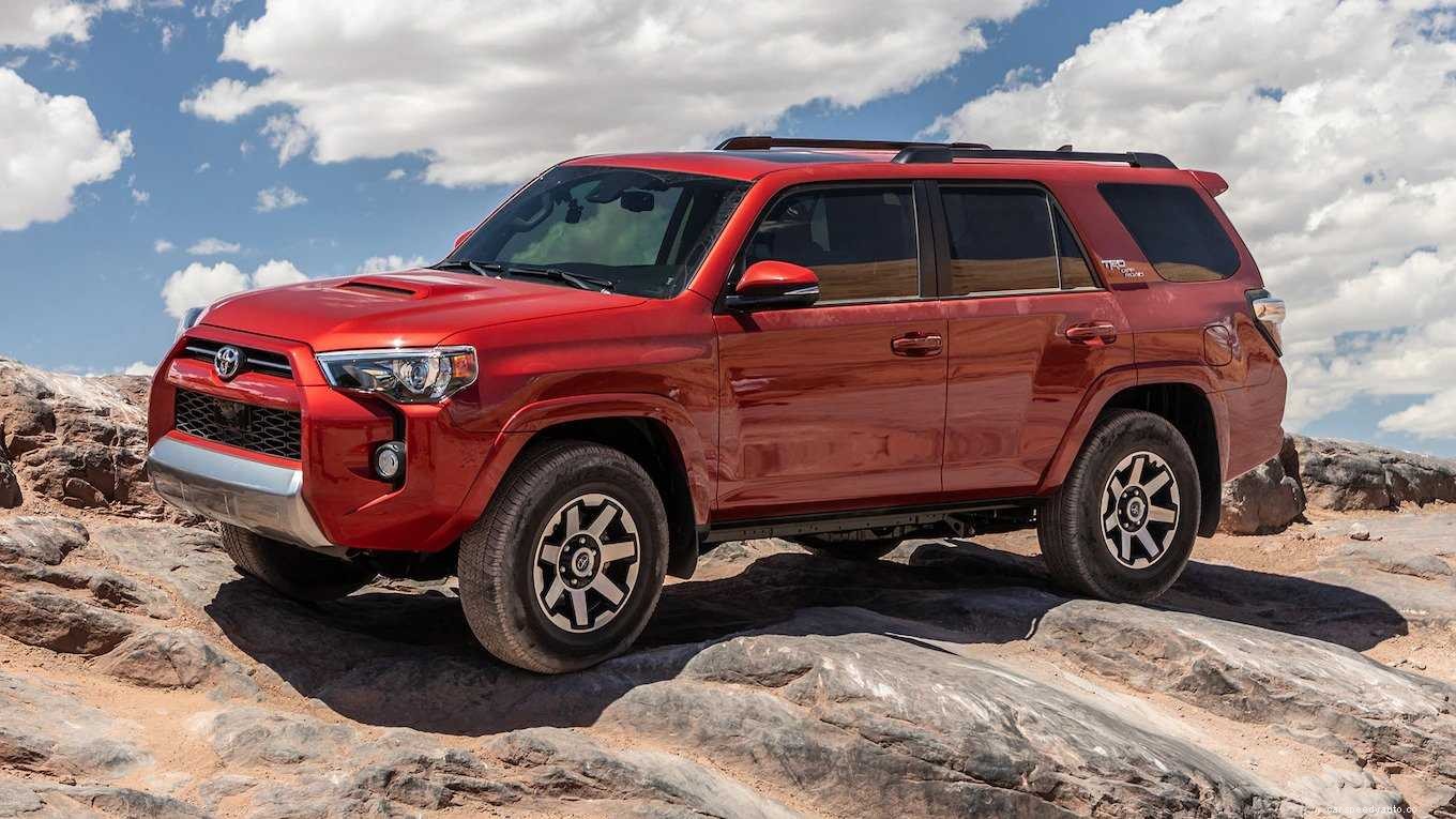 Which Cars Do Not Have Soy-Based Wiring? Keeping Cars Infestation Free!