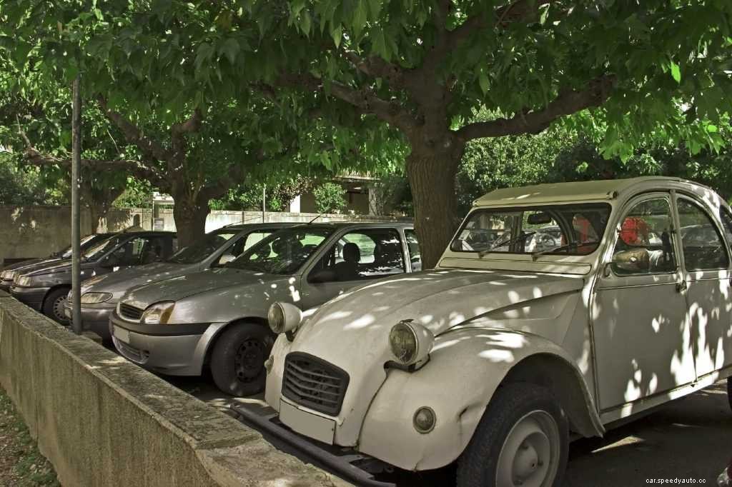 5 Ways to Keep Your Car Cool Even in Burning Sunlight