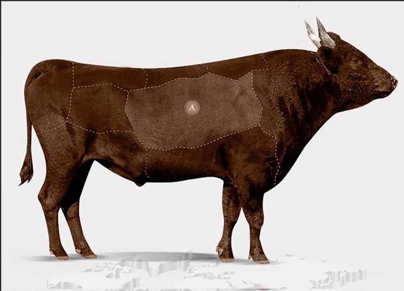 What Are The Pros and Cons of Leatherette vs. Leather vs. Leather Appointed?