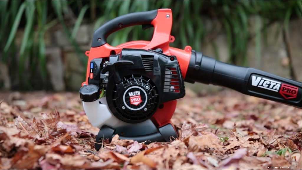 Dry Car With Leaf Blower – Should You Be Using It?