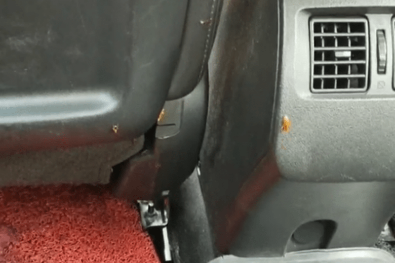 How to Get Rid of Roaches in Your Car
