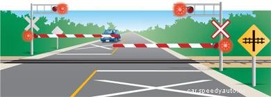 Must Follow Rules While Driving In Japan