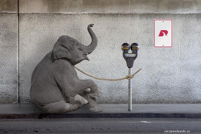 20 Funny and Weird Traffic Laws in the US