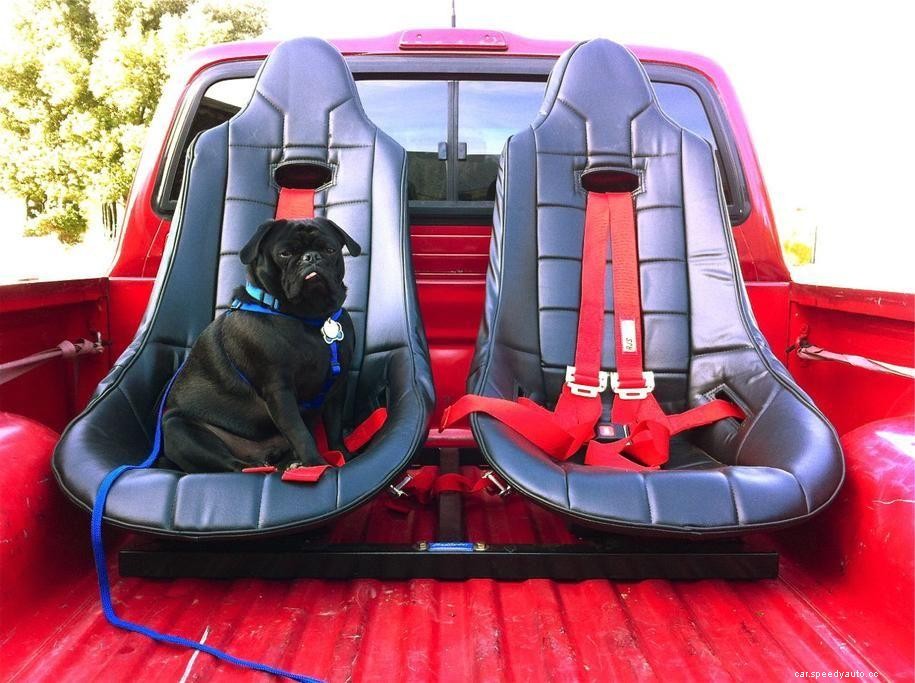 Can You Ride In The Back Of A Truck?