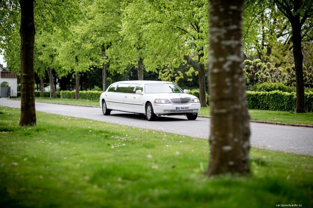 Things to Consider When Hiring a Driver for Your Limousine Service