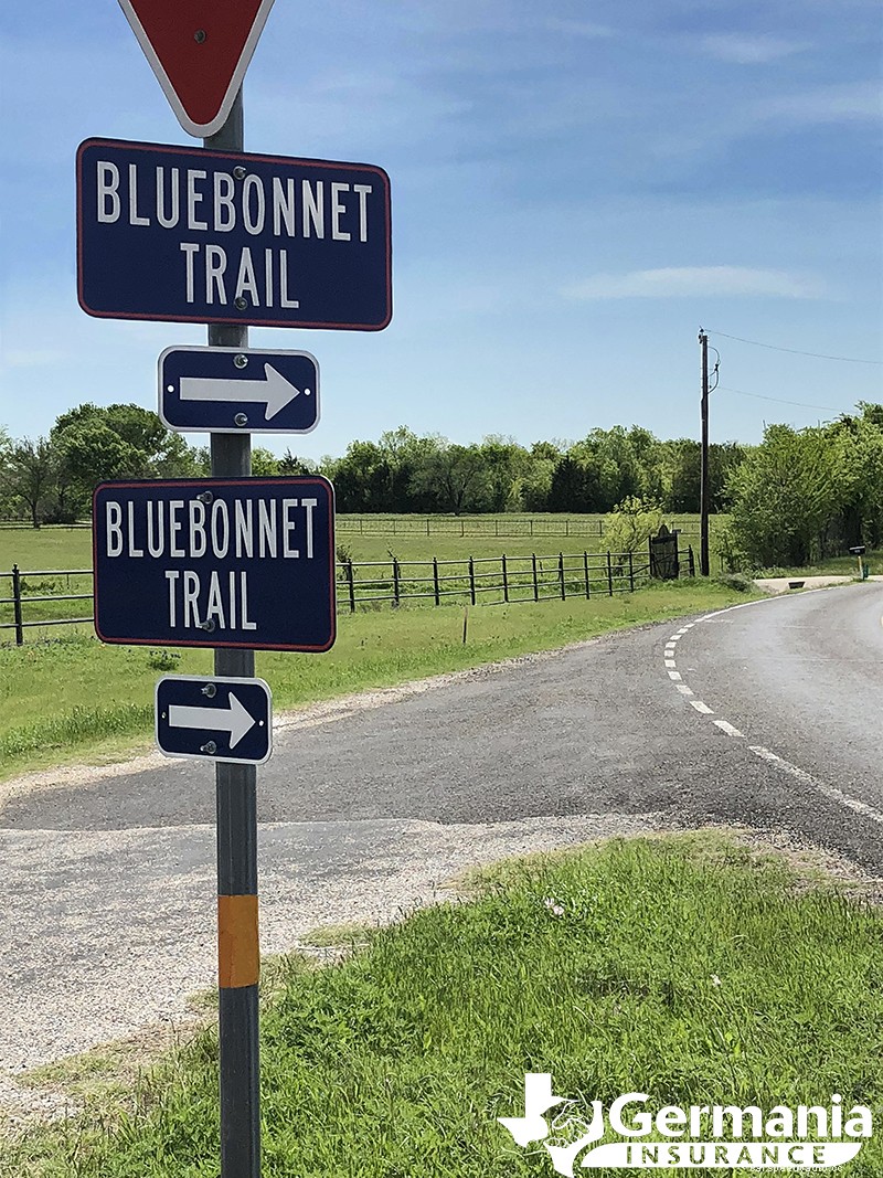 2022 Texas Bluebonnet Roadmap: The 7 best places to see bluebonnets in Texas