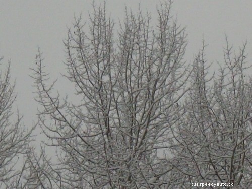 Winter Driving On Rural Highways – 10 Tips To Get You Home Safely