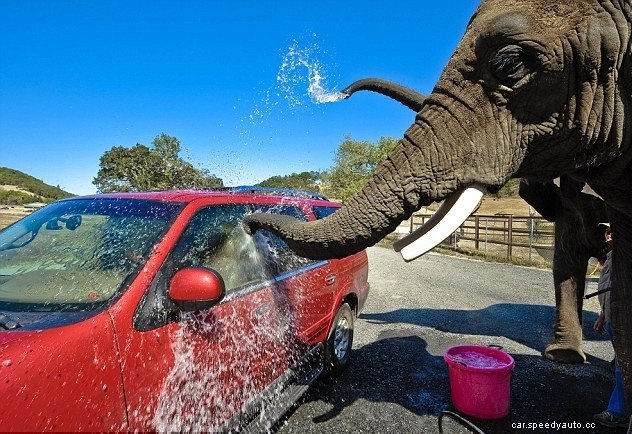 The RIGHT way to wash your car