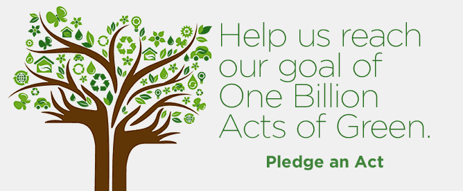 Denver Express Auto Care Celebrates Earth Day 2012