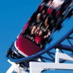 Fun Ideas for Summer