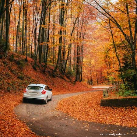 What Are The Dangers Of Driving With Broken Struts