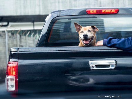 Helping Your Truck Run Well As It Ages