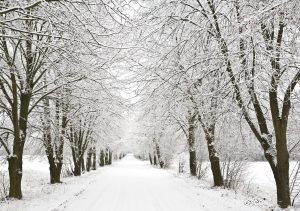 Winter Is Coming: How to Drive in the Snow – Part 2