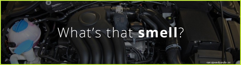 What’s That Smell: Reasons to Come to Our German Auto Repair