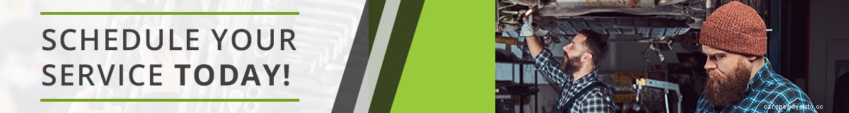 So Much Snow… Nooooo!