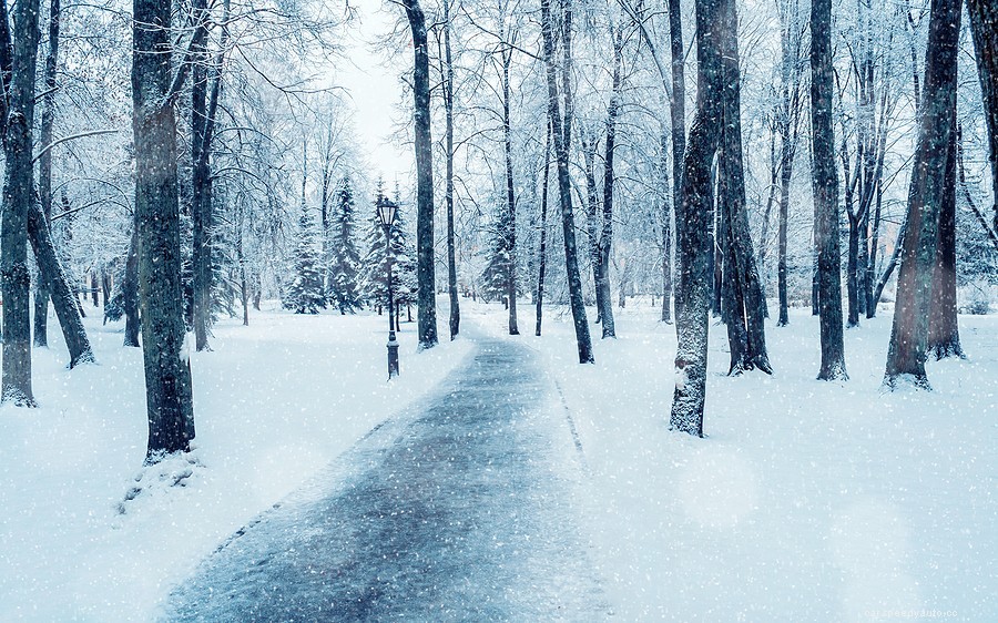 How to Store Your Car for Winter? 11 Tips!