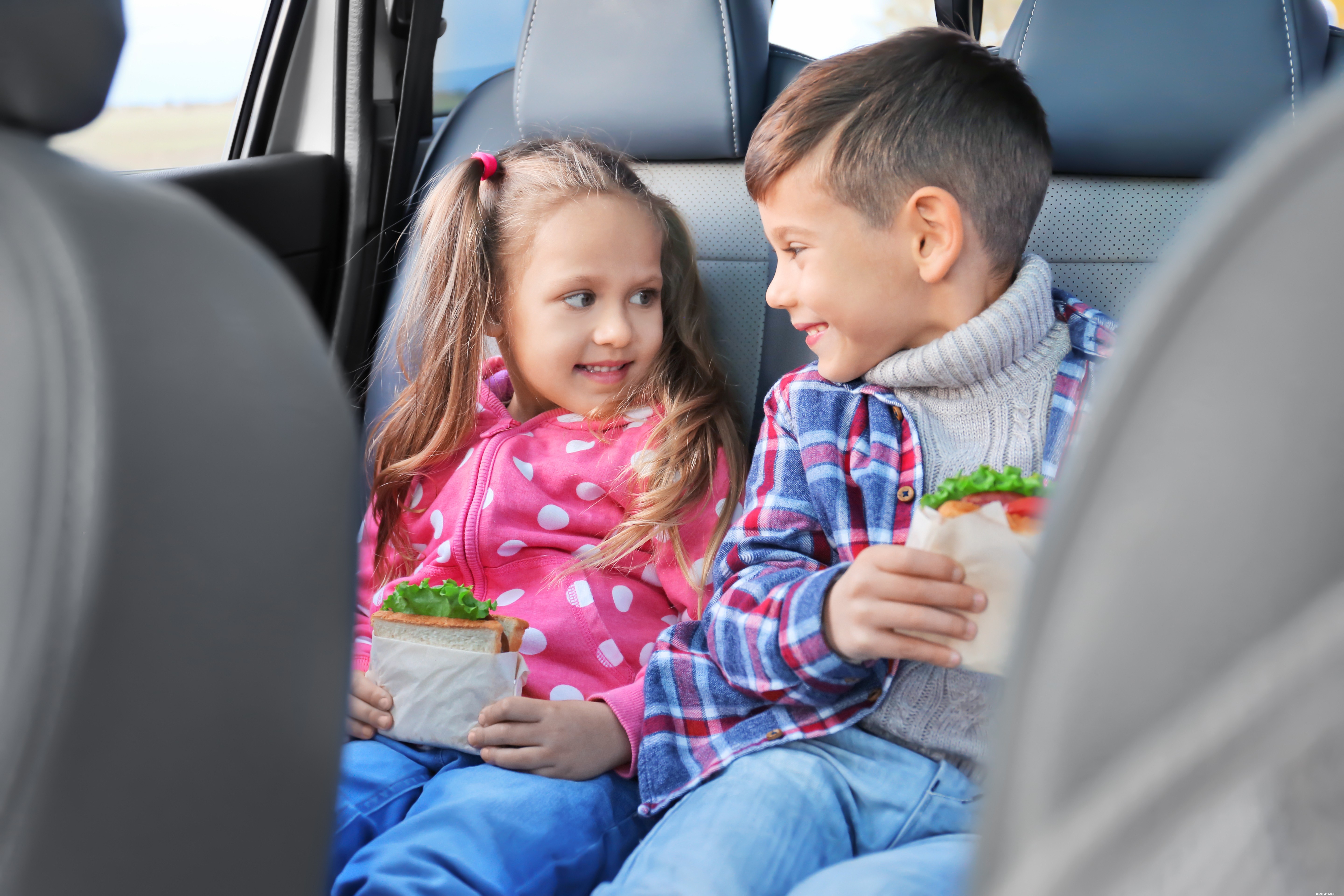 Must-Have Family Road Trip Snacks (Mess-Free)