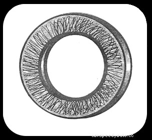 Eliminate Driveline Component Misalignment