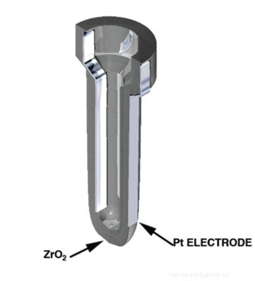Oxygen Sensor Anatomy