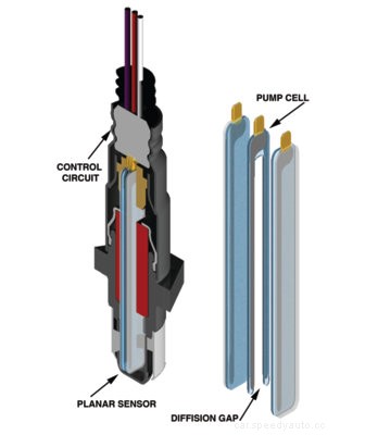 Oxygen Sensor Anatomy
