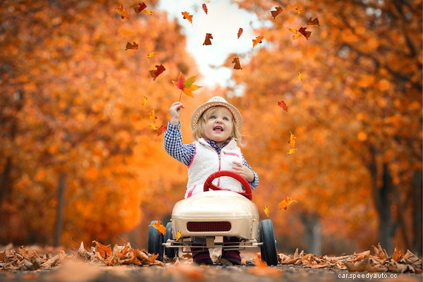 The Importance of Fall Vehicle Maintenance