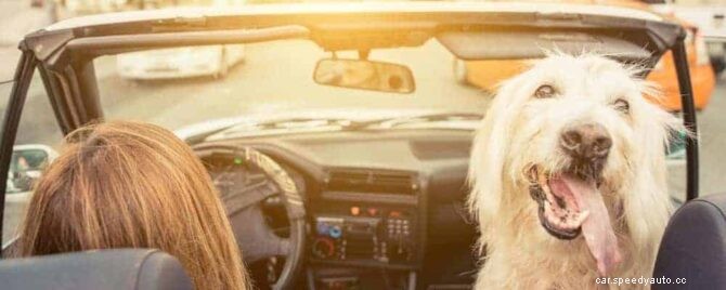 9 Amazing DIY Car Detailing Tips, Cheats, and All-Natural Hacks