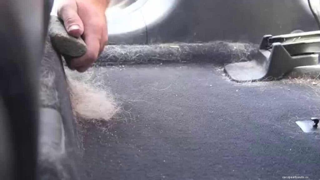 Pet Hair Removal Tips, Tricks, and Tools