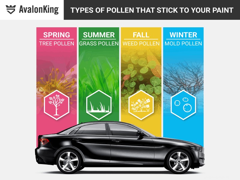Why is Pollen So Sticky on Car Paint?