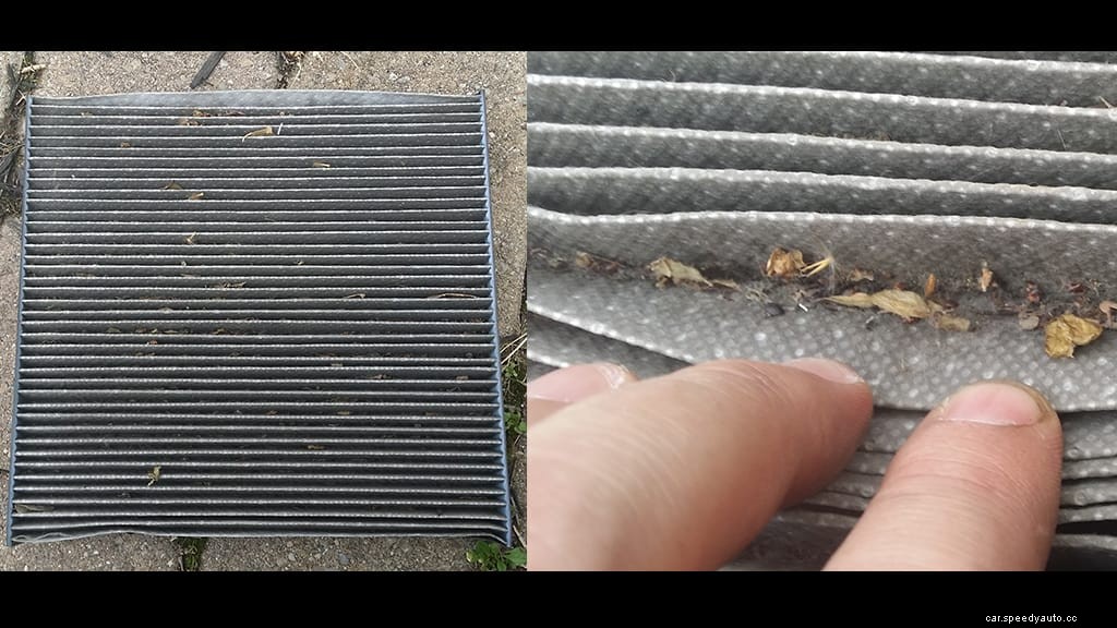 Sniff at Your Own Risk: Allergies and the Hidden Dangers of Driving