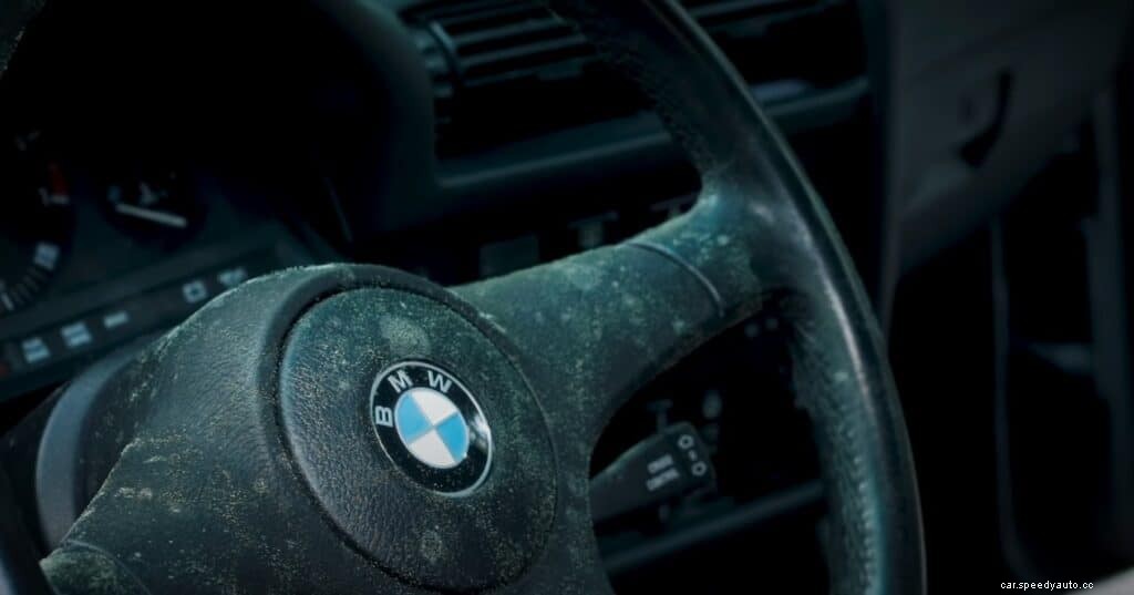 Seek and Destroy: How to Remove Mildew and Mold From a Car