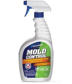 Seek and Destroy: How to Remove Mildew and Mold From a Car