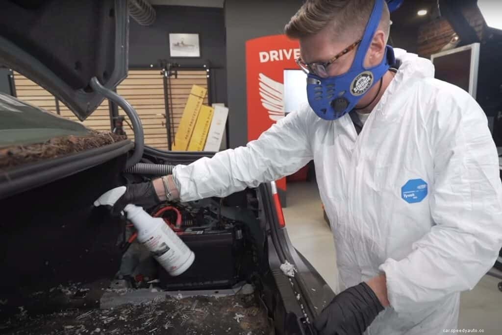 Seek and Destroy: How to Remove Mildew and Mold From a Car