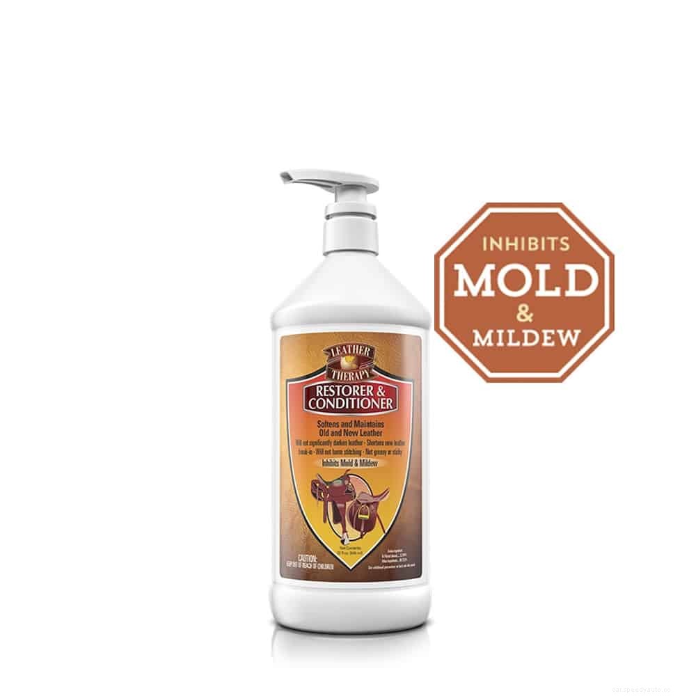 Seek and Destroy: How to Remove Mildew and Mold From a Car