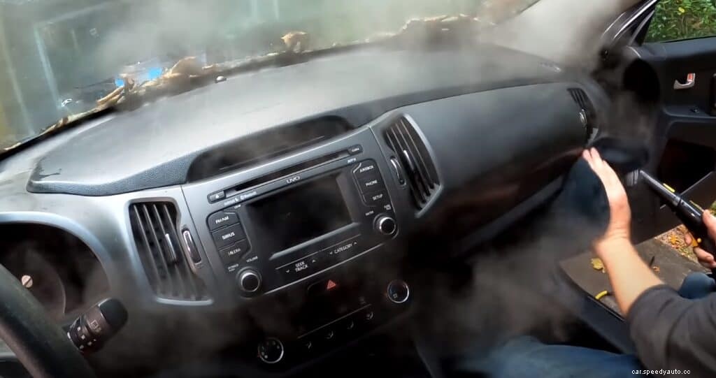 Seek and Destroy: How to Remove Mildew and Mold From a Car