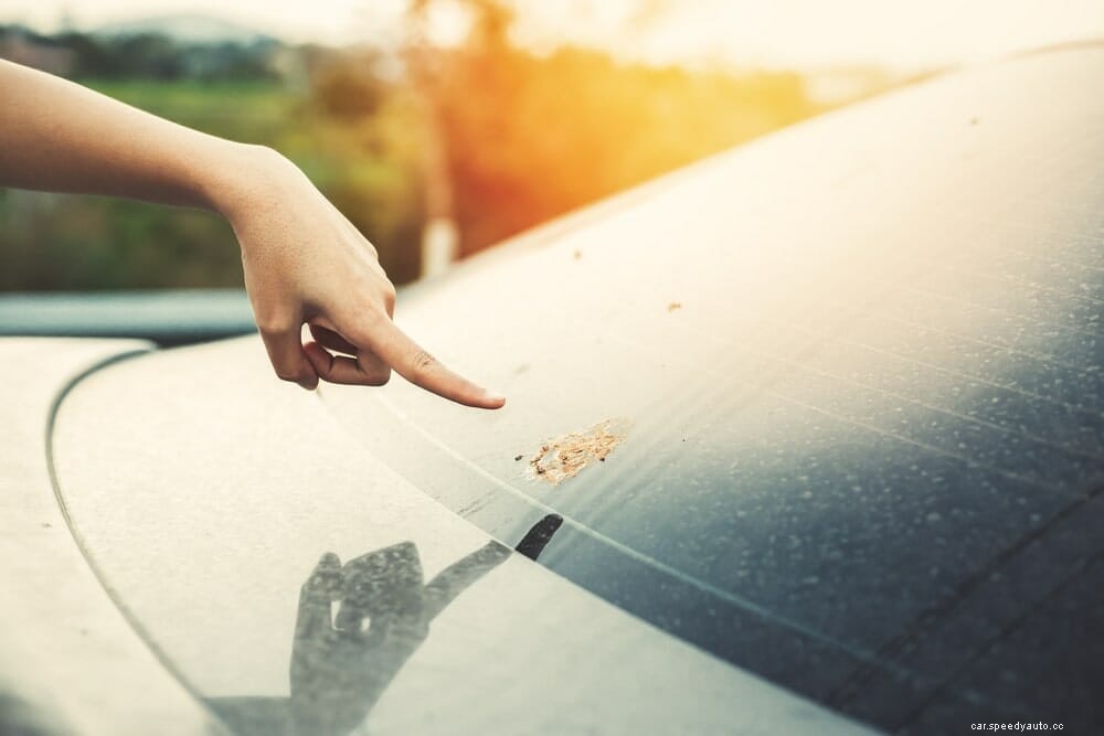 What Eats Car Paint The Fastest? 10 Substances To Avoid