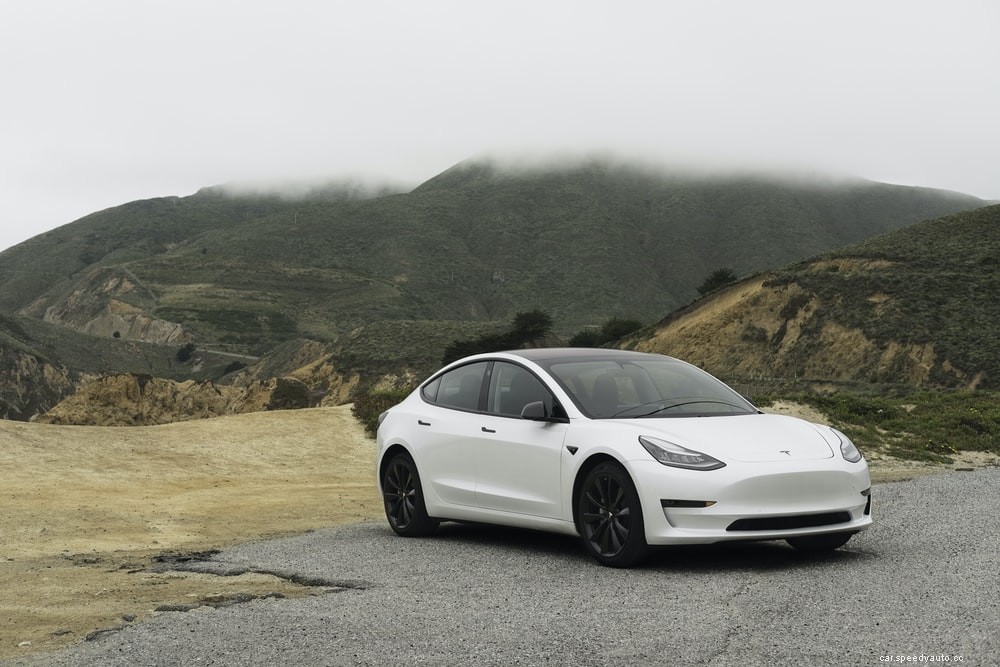 Does The Tesla Model 3 Have A Sunroof?