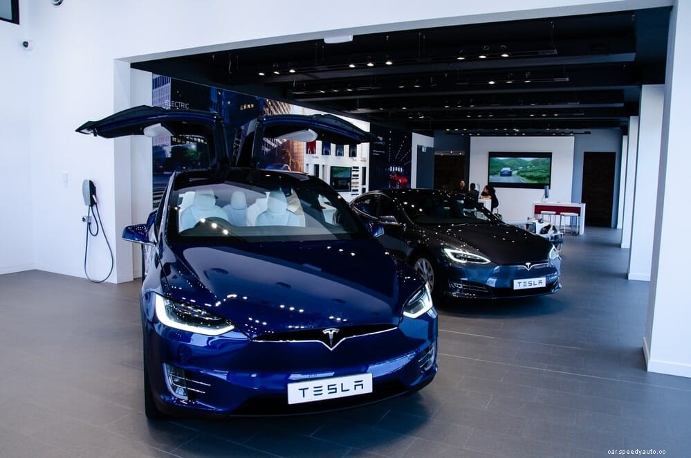 Does The Tesla Model Y Have Butterfly, Falcon, or Gullwing Doors?