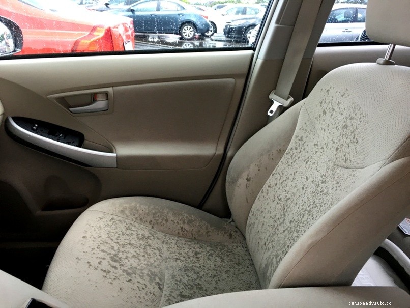 What to Do When Your Car Has Flooded in the Rain: Step-by-Step Guide