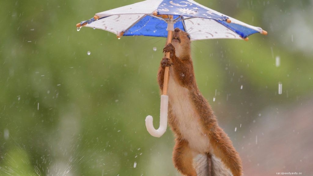 15 Driving Tips to Keep You Safe This Monsoon