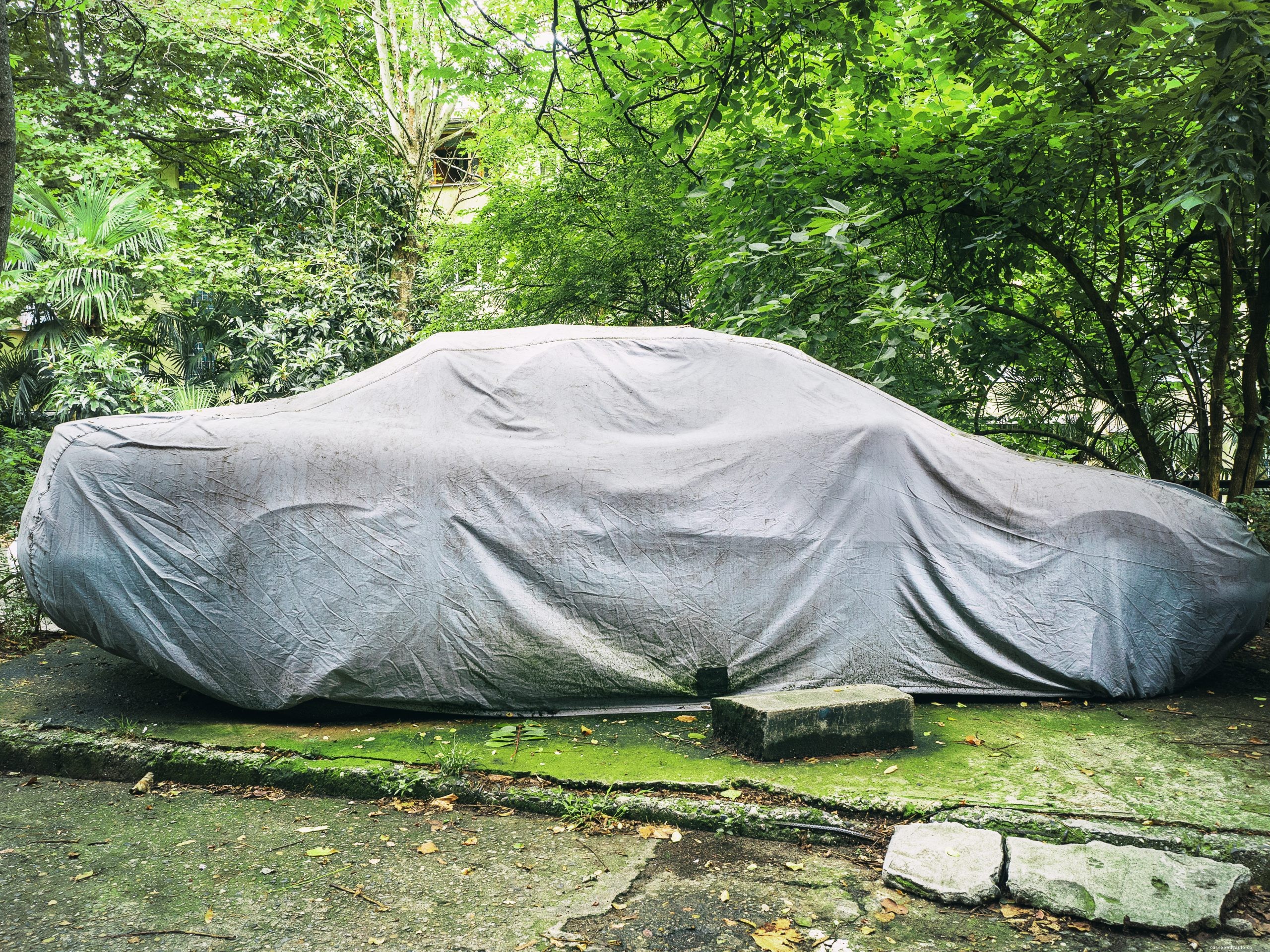 Keep Your Car in Tip-Top Condition for Post Circuit Breaker Driving