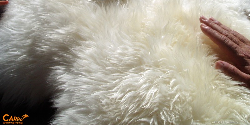 Carro Guide: How to Care for Your Car