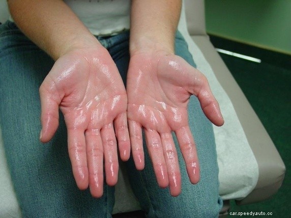 How To Clean Your Car and Get Rid of Pet Fur Easily