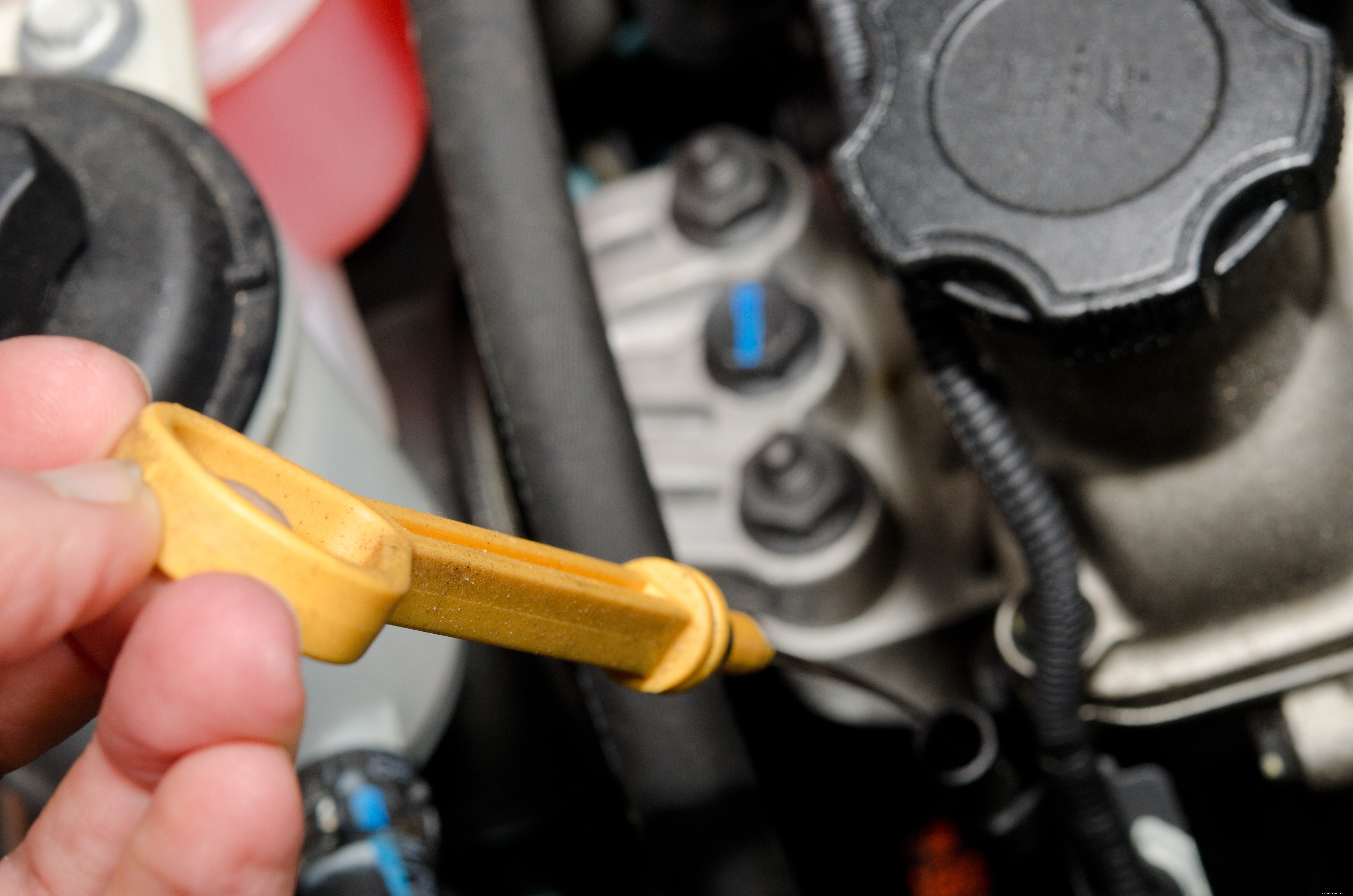 5 Basic Tune-Up Tips To Avoid Costly Repairs