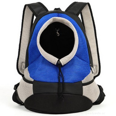 6 Tips to Make Your Car Pet-Ready