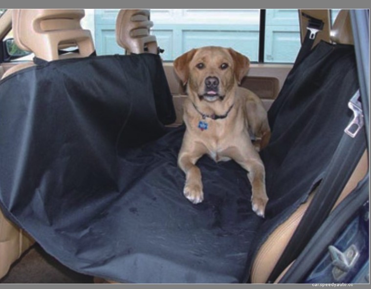 6 Tips to Make Your Car Pet-Ready