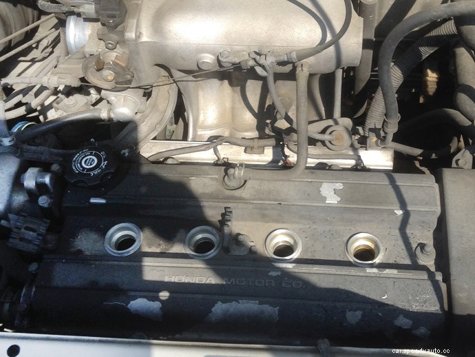 Engine Oil is Leaking! What Are the Common Causes and What Can Be Done About It?