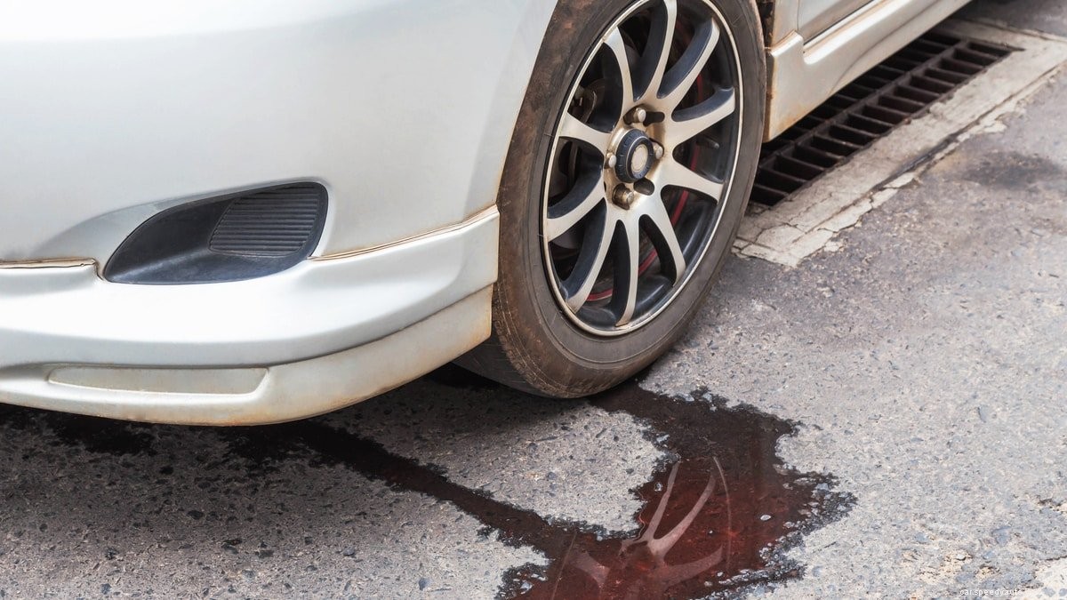 Car Leaking Fluid? (How to Identify The Liquid)